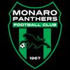 https://img.zhizhuzhibov.com.cn/img/football/team/ef8db5c06bd281eeee850c9dd09cd604.png