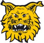 https://img.zhizhuzhibov.com.cn/img/football/team/f6526b5434c06d7a6da4a9193fdac95e.png